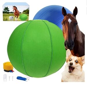 Green and Blue Horse Exercise Ball